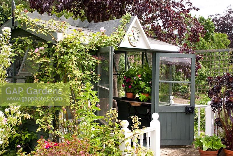 Pavillon gris, avec Fagus sylvatica 'Purpurea' - Hêtre cuivré, Géraniums et Rosa. Mill Dene Garden, juin Mill Dene Garden, juin