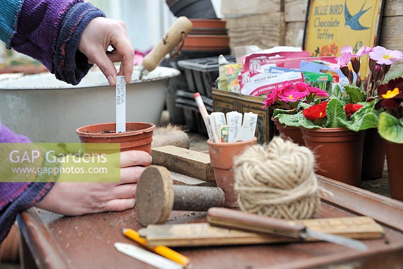 Femme mettant l'étiquette de semences en pot sur la table de rempotage au début du printemps, février