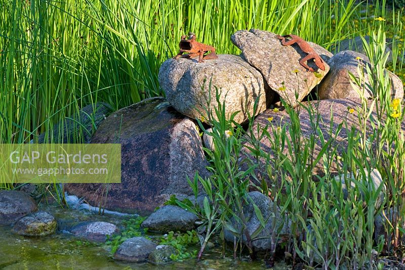La lumière du soleil sur des rochers de granit avec des grenouilles en métal rouillé dans une piscine naturelle. Plantation de Ranunculus lingua et Scirpus