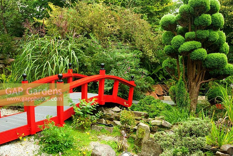 Des conifères taillés en nuage encadrent un pont Nikko rouge vif dans le jardin japonais, avec du miscanthus et de l'indigofera. Le Croft, Yarnscombe, Devon, UK