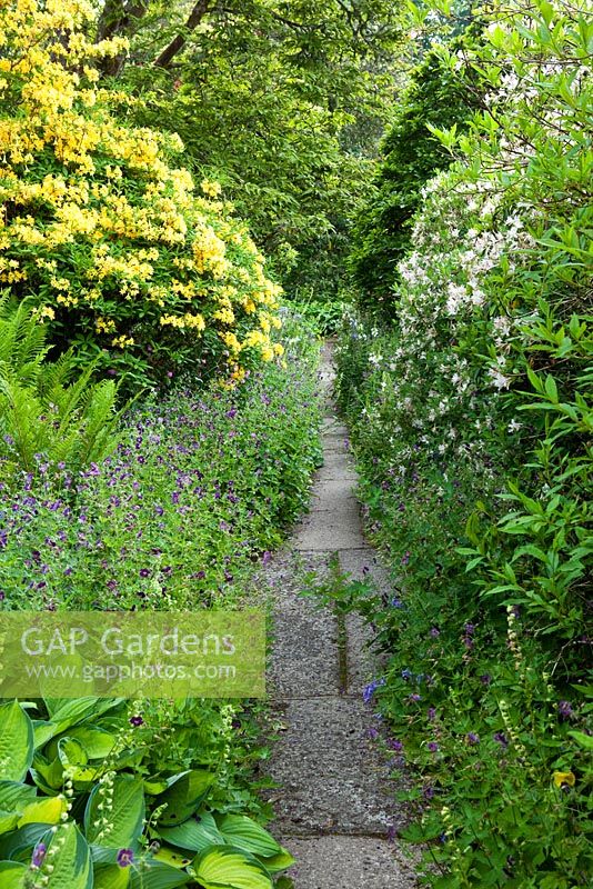 Chemin pavé entre le parterre de fleurs d'été. La Garden House, Devon.