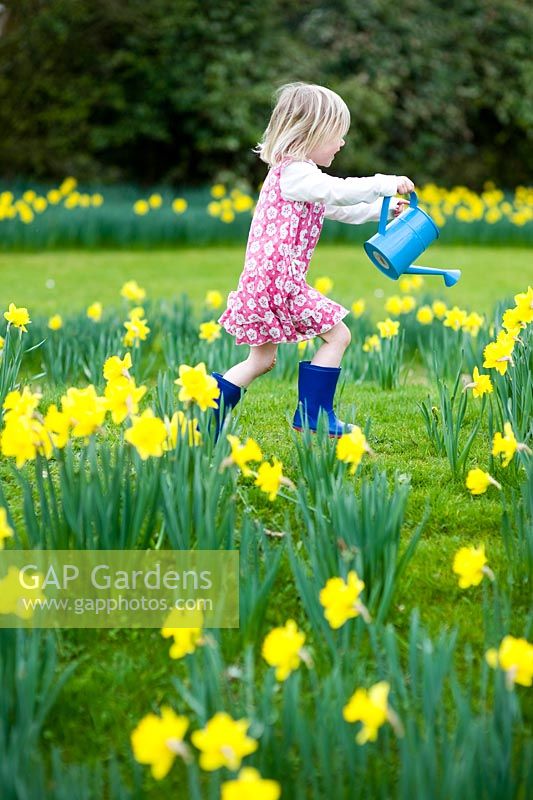 Jeune fille portant une robe fleurie portant un arrosoir bleu courir parmi les jonquilles