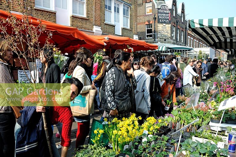 Columbia Road Flower Market avec des gens à la recherche d'un étal de plantes et lady in forground holding petit arbre, Tower Hamlets London UK