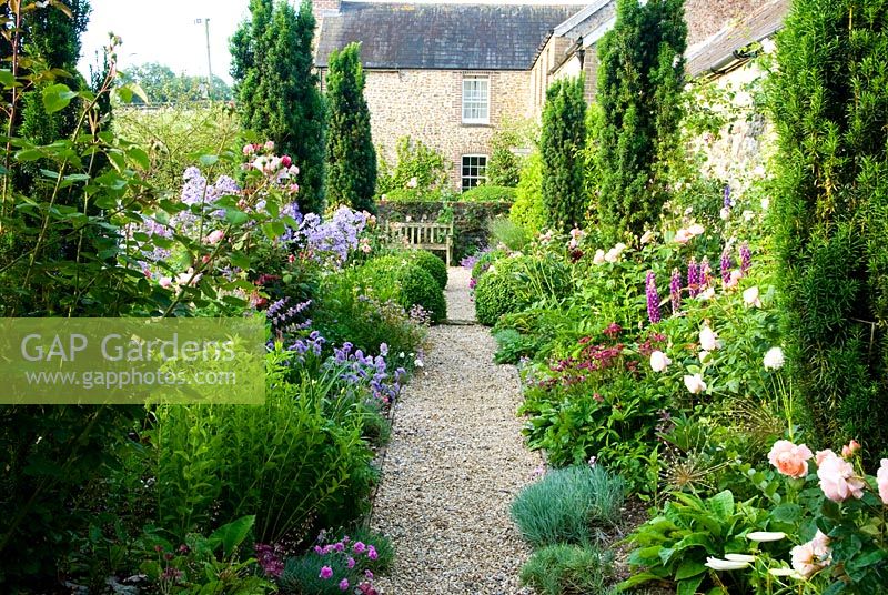 Chemin qui longe la maison dans le jardin de la cour bordé de sphères Box et de Taxus baccata 'Fastigiata' - Ifs entremêlés de Roses, Paeonias, Digitalis - Foxgloves, Campanulas. Dorset, Royaume-Uni