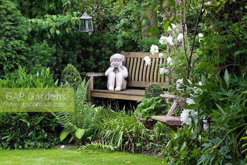 Ange en pierre blanche sur banc de jardin en bois, la plantation comprend Rosa 'Schneewittchen', Dryopteris, Prunus laurocerasus et Taxus baccata