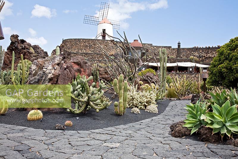 Le moulin à vent restauré, avec le restaurant couvert ci-dessous - El Jardin de Cactus, Lanzarote, Îles Canaries.
