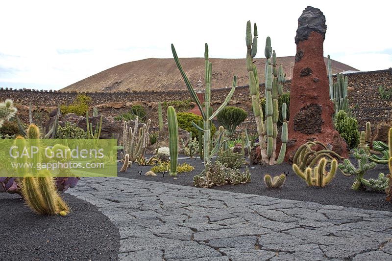 El Jardin de Cactus, Lanzarote, Îles Canaries