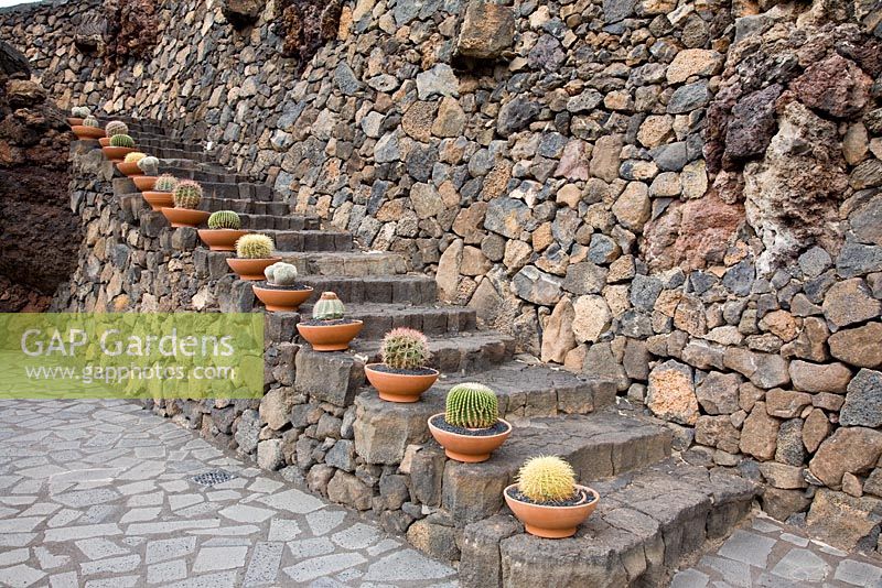 Marches en pierre de lave, bordées de pots en argile plantés de cactus, dont Ferocactus - El Jardin de Cactus, Lanzarote, Îles Canaries.