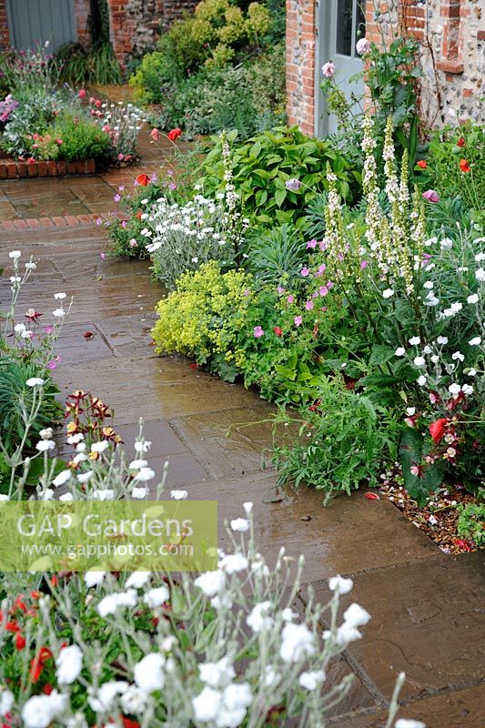 Jardin de style cour avec des fleurs de jardin et chemin de dalles, Norfolk, Angleterre, juin