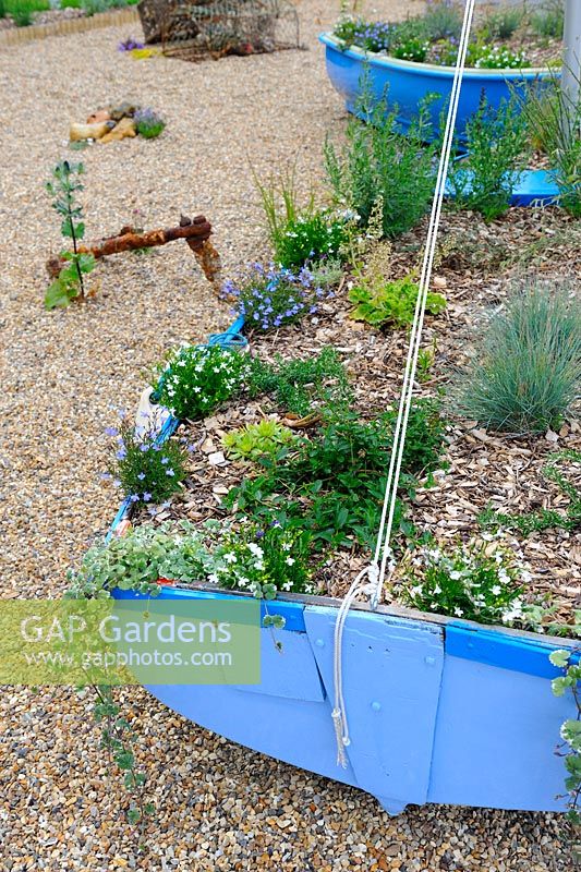 Jardin à thème nautique avec des bateaux plantés de plantes vivaces et d'herbes, Norfolk, Angleterre, juin