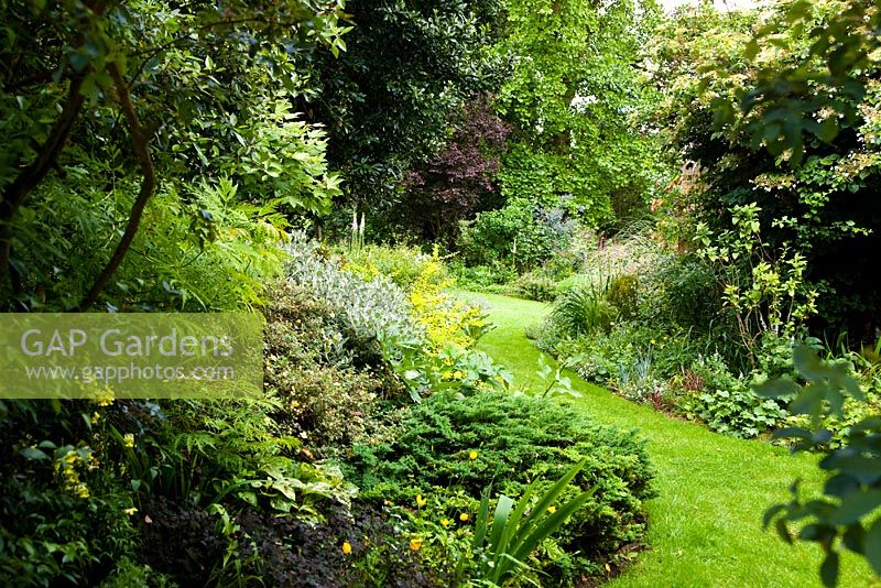 Jardin informel avec parterres incurvés - Holbeach Hurn, Lincolnshire, Royaume-Uni, juin