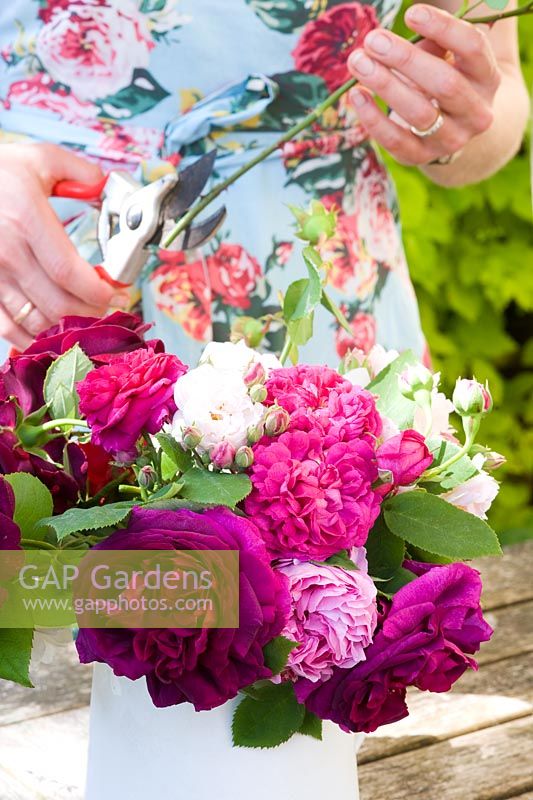 Coupe femme tiges de rose pour affichage floral sur table
