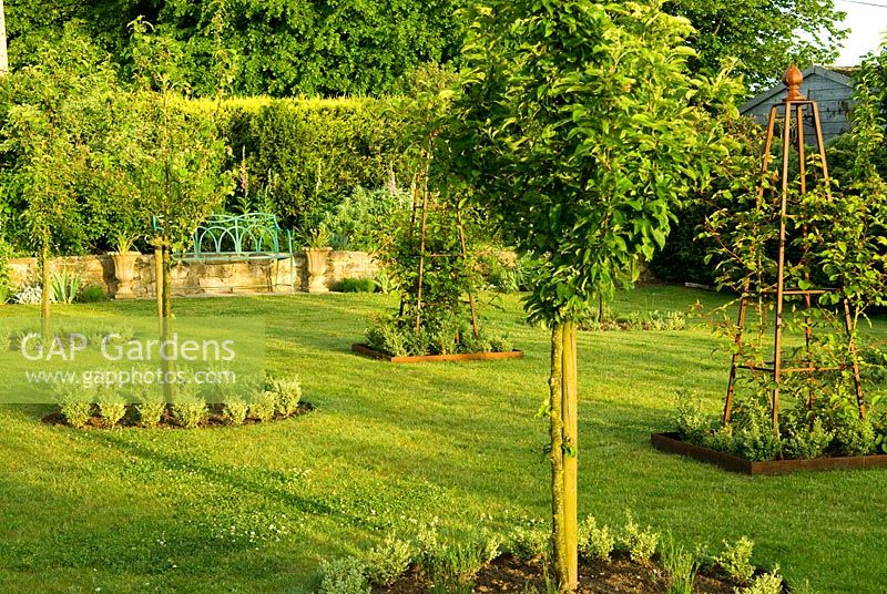 La pelouse aux pommes sauvages présente Malus 'Golden Hornet' et Rosa 'The Generous Gardener' syn. 'Ausdrawn' grandir obélisques métalliques - Old Rectory, Kingston, île de Wight, Hants, Royaume-Uni