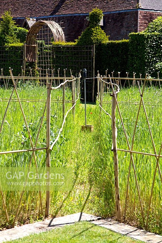 Cannes de bambou, surmontées de coquilles d'escargots vides, utilisées pour boucler la zone de pelouse où les fleurs sauvages ont besoin de protection - Le Prieure Notre Dame d ' Orsan.