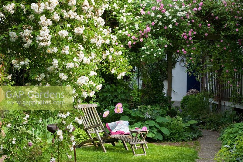 Chaise longue en bois avec couverture sous Rosa 'Lykkefund', Rosa 'Helenae', Rosa 'Tausendschön', Rosa helenae. Alchemilla mollis, Hosta, Paeonia