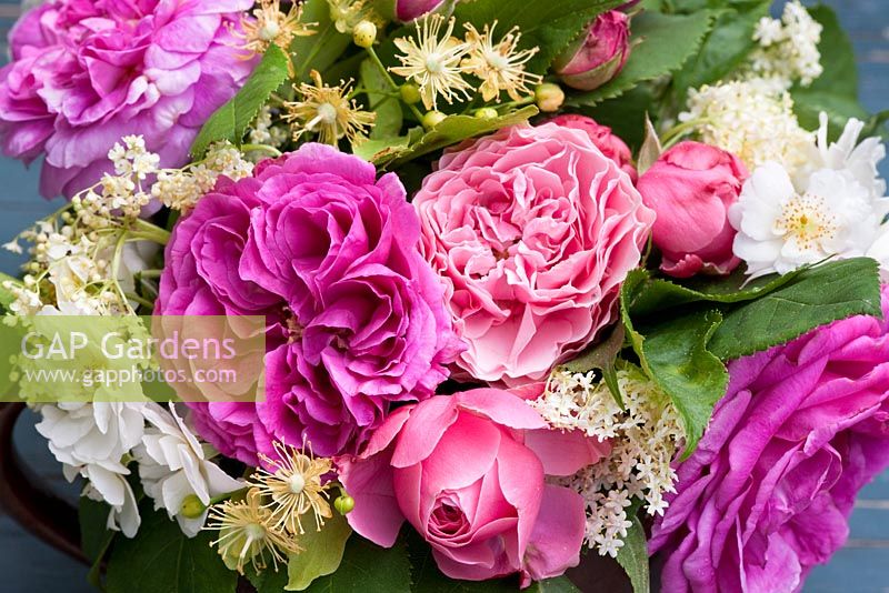 Bouquet de roses, de fleurs de sureau et de tilleul