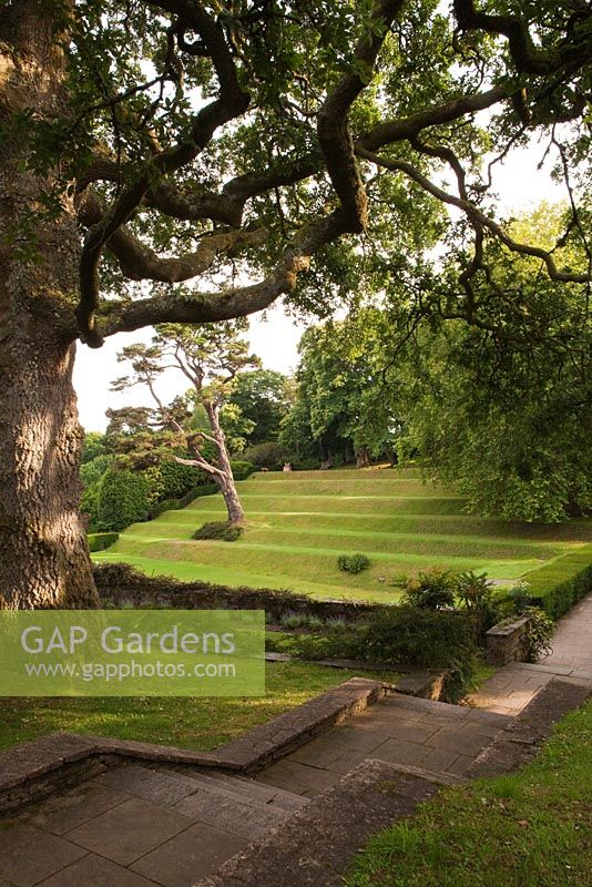 Dartington Hall, Devon. Jardin historique de catégorie II *. Juillet. Les terrasses du Tiltyard. Chêne au premier plan.