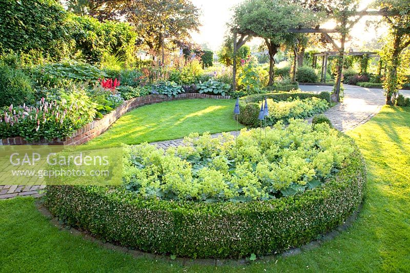 Jardin avec parterres courbes, pergolas et parterre de fleurs semi-circulaire d'Alchemilla mollis - Manteau Ladys avec bordure Buxus - Broekhuis Garden
