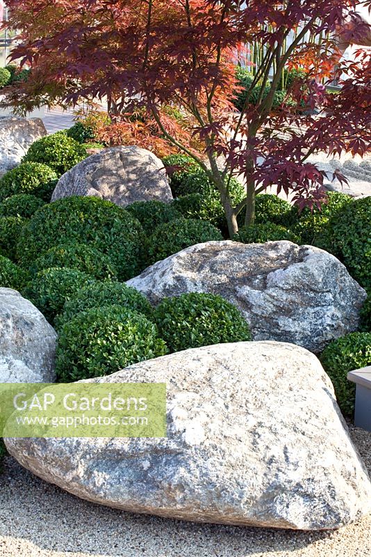 Jardin de style japonais avec des rochers