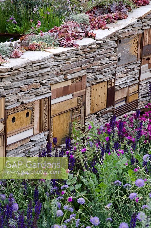 Mur d'habitat avec abris anti-insectes intégrés à la Banque Royale du Canada avec le RBC New Wild Garden, médaillé d'argent doré - RHS Chelsea Flower Show 2011