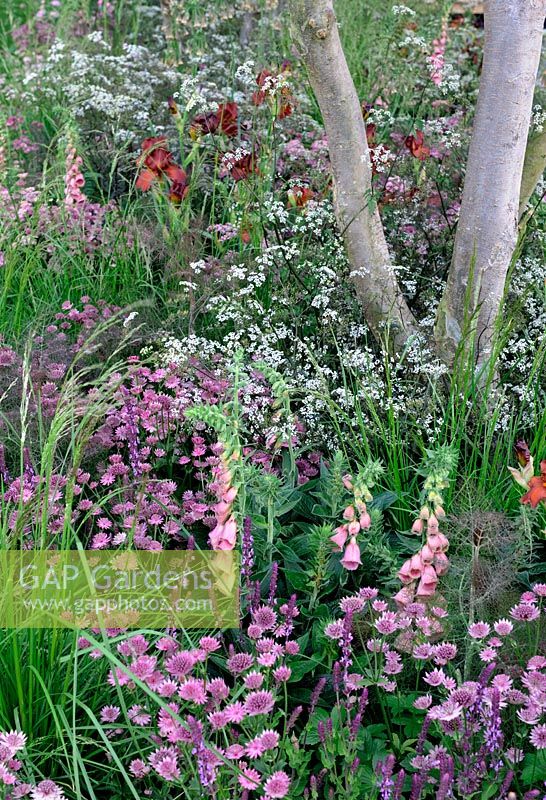 Plantation de couleur douce dans un jardin de style boisé