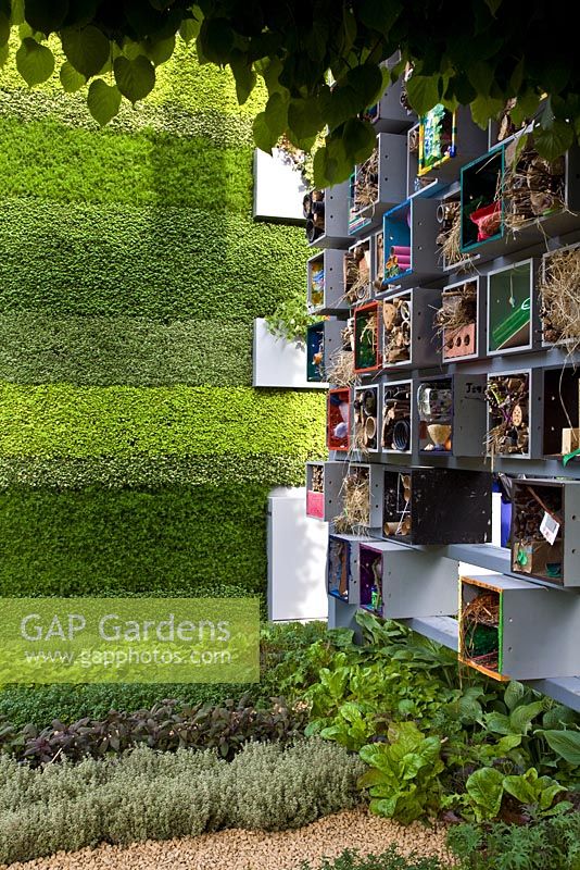 Mur caractéristique avec abris d'insectes fabriqués à partir d'articles recyclés et 'jardin vertical' - 'Le jardin B et Q', médaillé d'or, RHS Chelsea Flower Show 2011