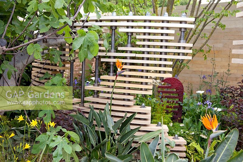 Paravent en bois et plantation tropicale, y compris Strelitzia dans 'The Bradstone Fusion Garden' - Médaillé d'argent doré, RHS Chelsea Flower Show 2011