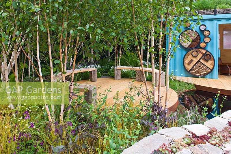 Jardin de la faune avec coin salon sous Betula - Bouleaux d'argent dans 'La Banque Royale du Canada avec le nouveau jardin sauvage RBC' - Médaillé d'argent doré, RHS Chelsea Flower Show 2011