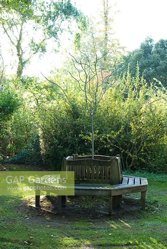 Siège d'arbre en bois autour d'un arbre métallique en octobre - Chippenham Park, Cambridgeshire, NGS