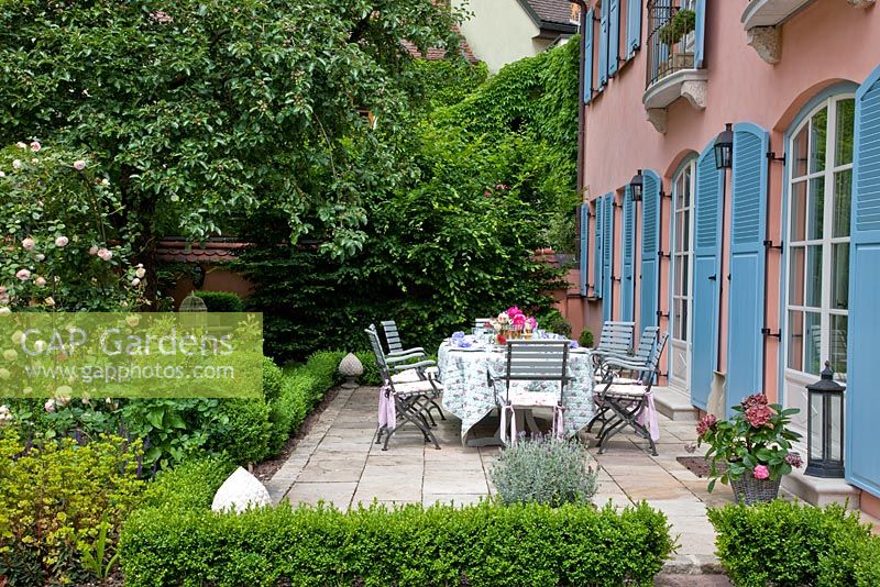 La terrasse pavée en pierre de drapeau est encadrée de Buxus clippé bas - Boîte haie et Rosa 'Pierre de Ronsard' - Sac à main Garde, Freising, Allemagne