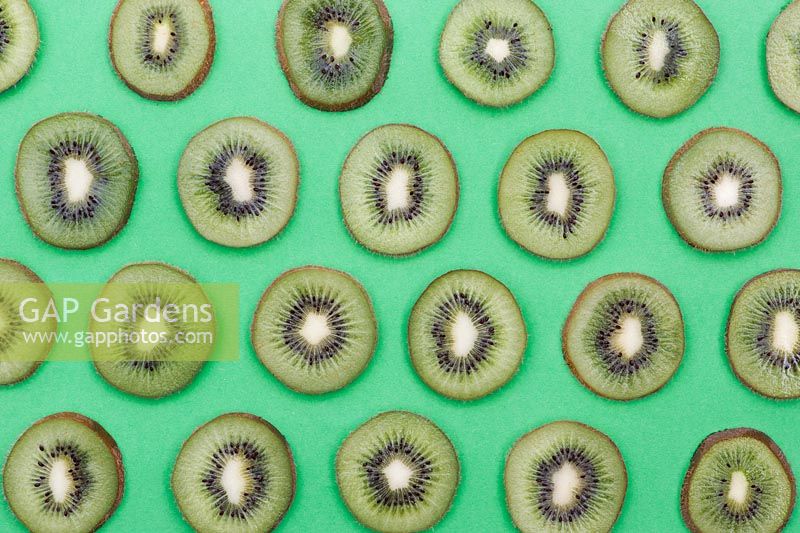 Actinidia deliciosa - tranches de kiwi sur fond vert - groseille de Chine