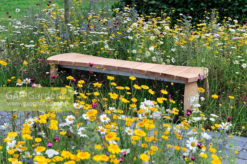 Banc en bois dans un jardin de fleurs sauvages - 'Un point dans le temps sauve neuf' - RHS Tatton Park Flower Show 2011