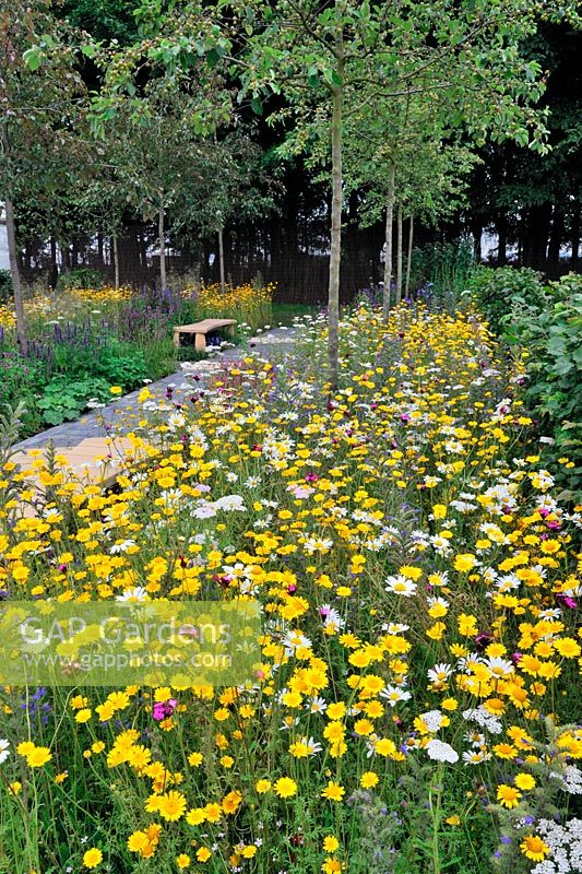 Jardin de fleurs sauvages du verger urbain 'Un point dans le temps sauve neuf '. RHS Tatton Park Flower Show 2011