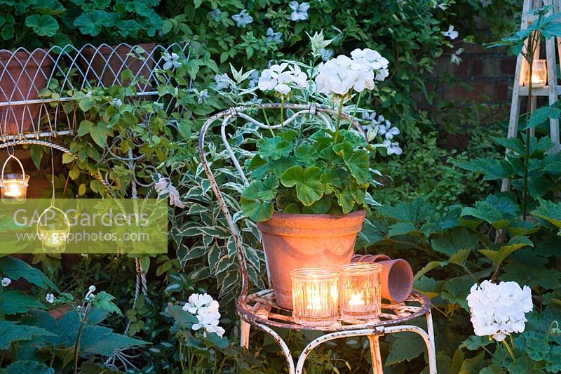 Photophore en verre allumant des géraniums en pots dans un jardin blanc