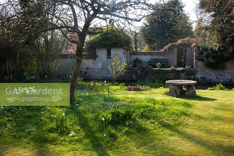 Jardin de printemps entouré de mur de torchis avec Narcisse - dérives de la jonquille - Mill House, Wylye Valley, Wiltshire