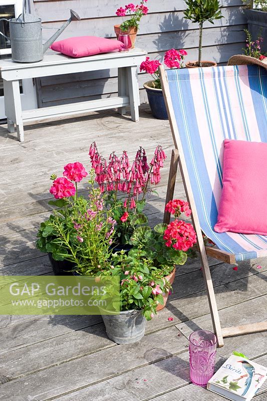 Transat bleu et rose sur terrasse en bois avec des pots dont des géraniums