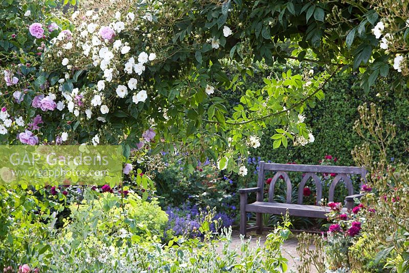 RHS garden Rosemoor, Devon - coin salon paisible dans la roseraie