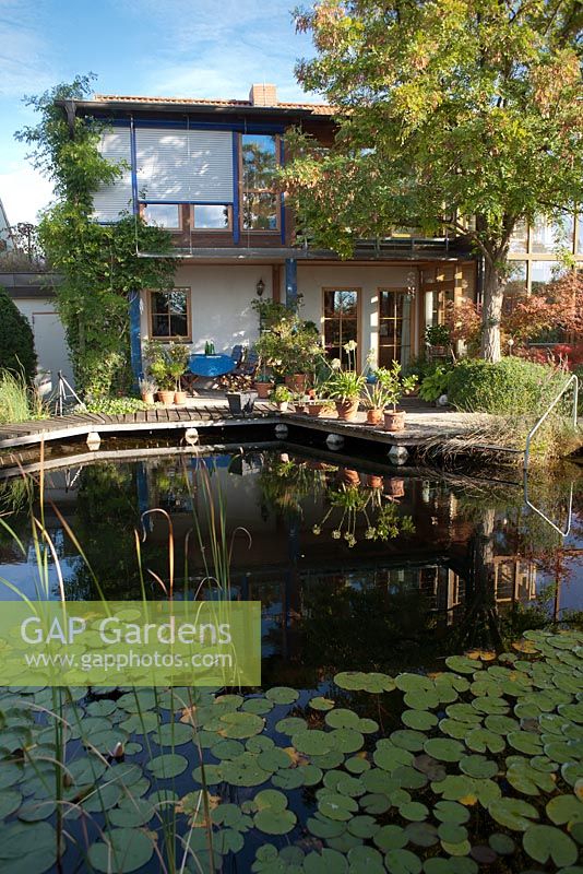 Maison contemporaine avec piscine naturelle, Garden Hackl, Mistelbach Autriche
