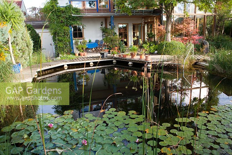 Maison contemporaine avec piscine naturelle, Garden Hackl, Mistelbach Autriche