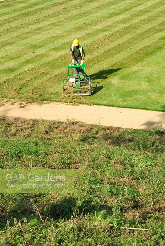 Préparer les pelouses à la qualité du gazon du sport en enlevant la mousse et le chaume de l'herbe avec un scarificateur à essence, une zone de fleurs sauvages au premier plan - Olympic Park, Londres, septembre 2011