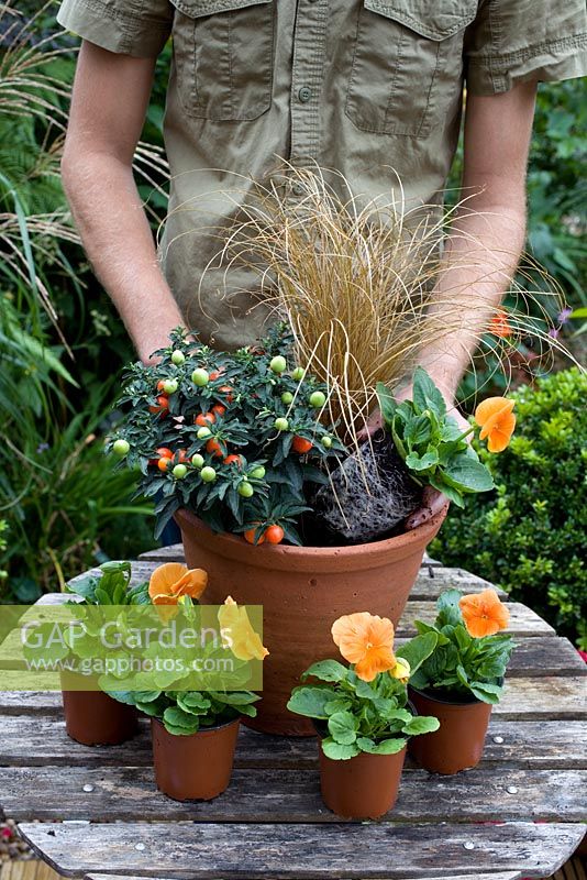 Planter le pot d'automne