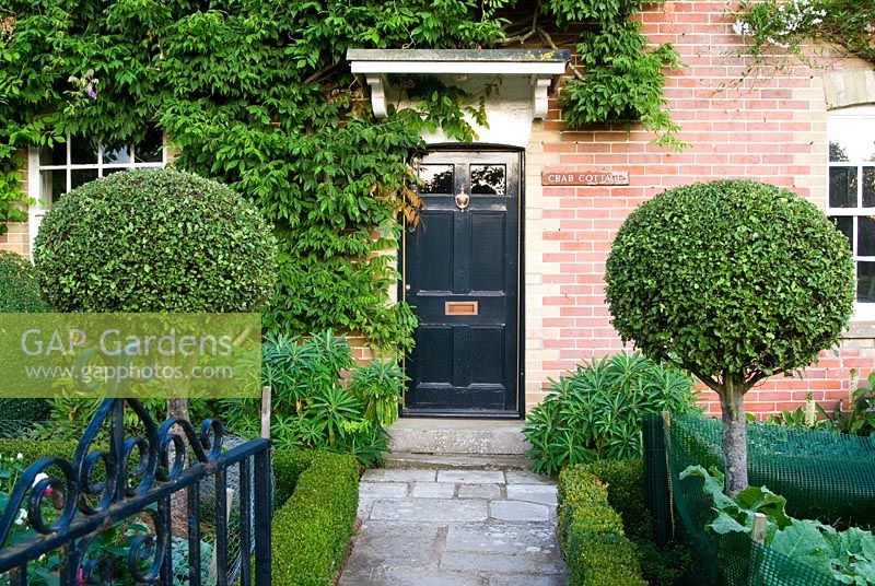 Façade en brique victorienne sur la maison C18, avec porte noire encadrée par des Pittosporums standard et des parterres de fleurs formels bordés de bas Buxus - Boîte de couverture - Ile de Wight, Royaume-Uni