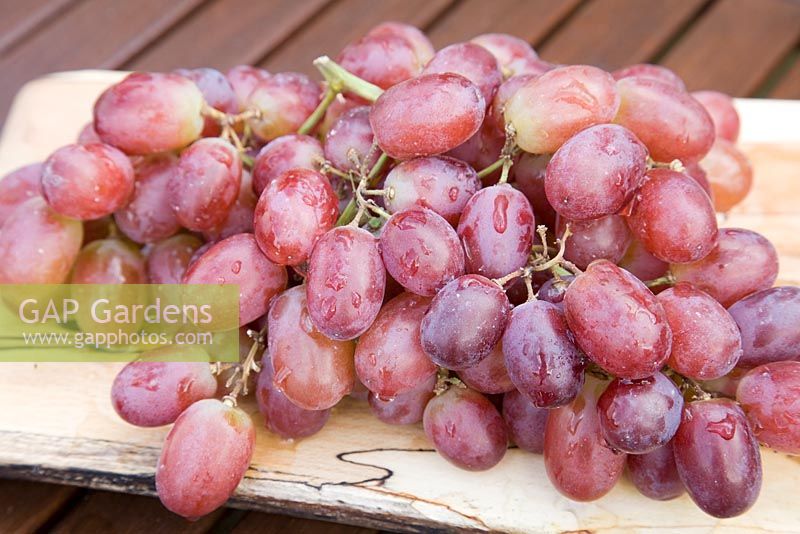 Grappe de raisins rouges sans pépins