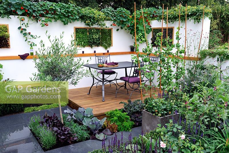 Petit jardin contemporain avec des comestibles en pots et une plantation murale verticale d'herbes parfumées.