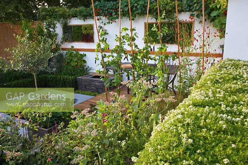'The Potential Feast 'garden - RHS Hampton Court Flower Show 2011 Parterres et pots de fruits, herbes, légumes et salade