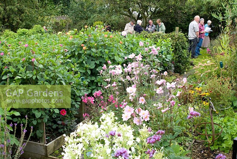 Les visiteurs à la recherche autour de jardin avec des parterres de plantes herbacées et des parterres de fleurs de Dahlia sur une journée portes ouvertes du programme national de jardin à 'Sunnyside', Milnthorpe, Cumbria