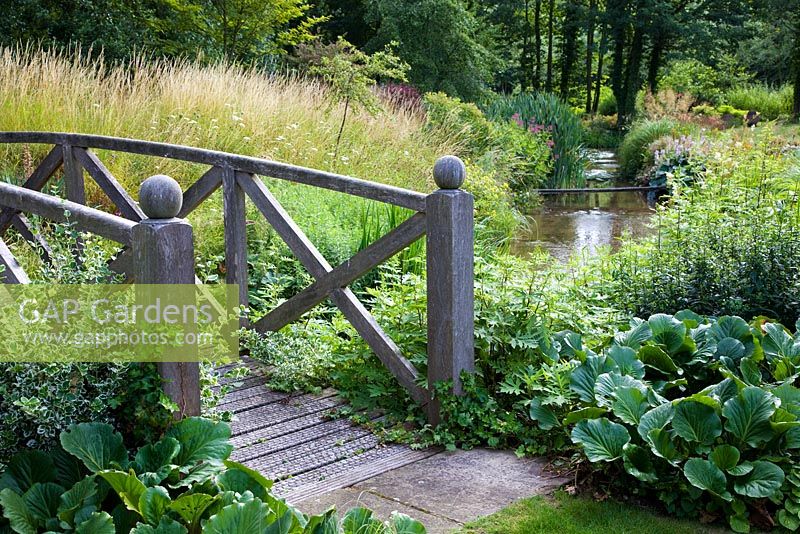 Pont de style Monet traversant le ruisseau avec feuillage et herbes de Bergenia