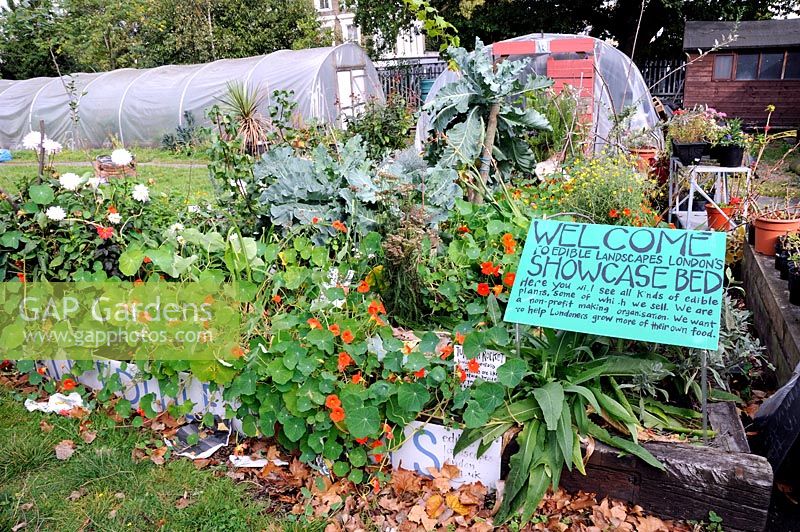 Paysage comestible London's Showcase flowerbed, une organisation qui vise à enseigner aux gens le jardinage à faible entretien et les encourager à cultiver davantage de leur propre nourriture, Finsbury Park, Londres, Royaume-Uni