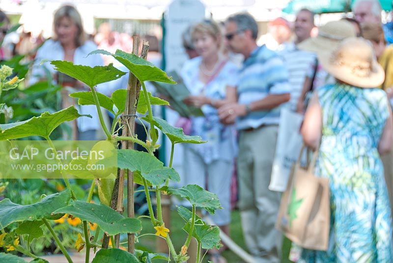 Le public regarde des expositions de jardins - RHS Hampton Court Palace Flower Show, 2011