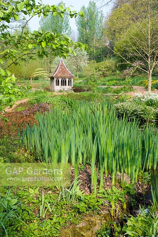 Jardin de tourbière au début du printemps avec maison d'été dans la vallée - le vieux presbytère, Netherbury, Dorset NGS